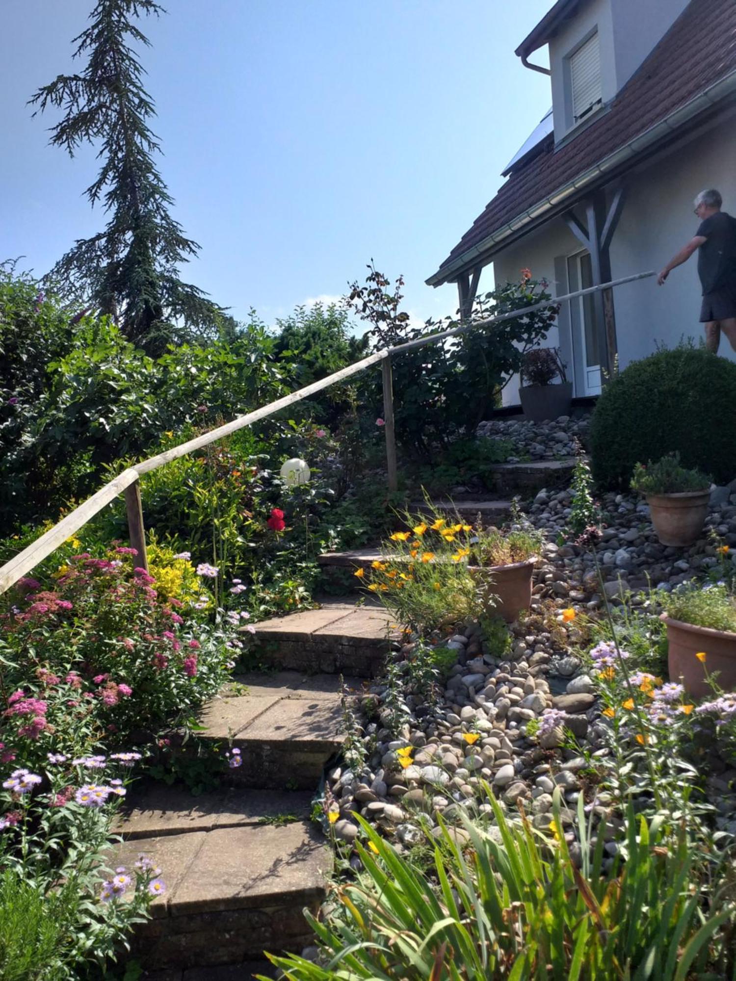Ferienwohnung Chez Le Vigneron Westhalten Exterior foto
